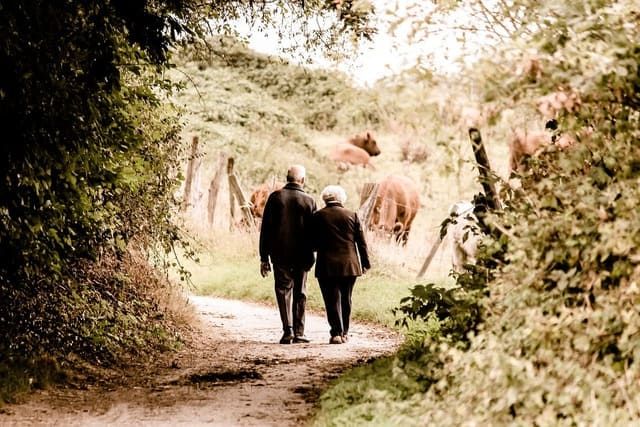 mutuelle senior